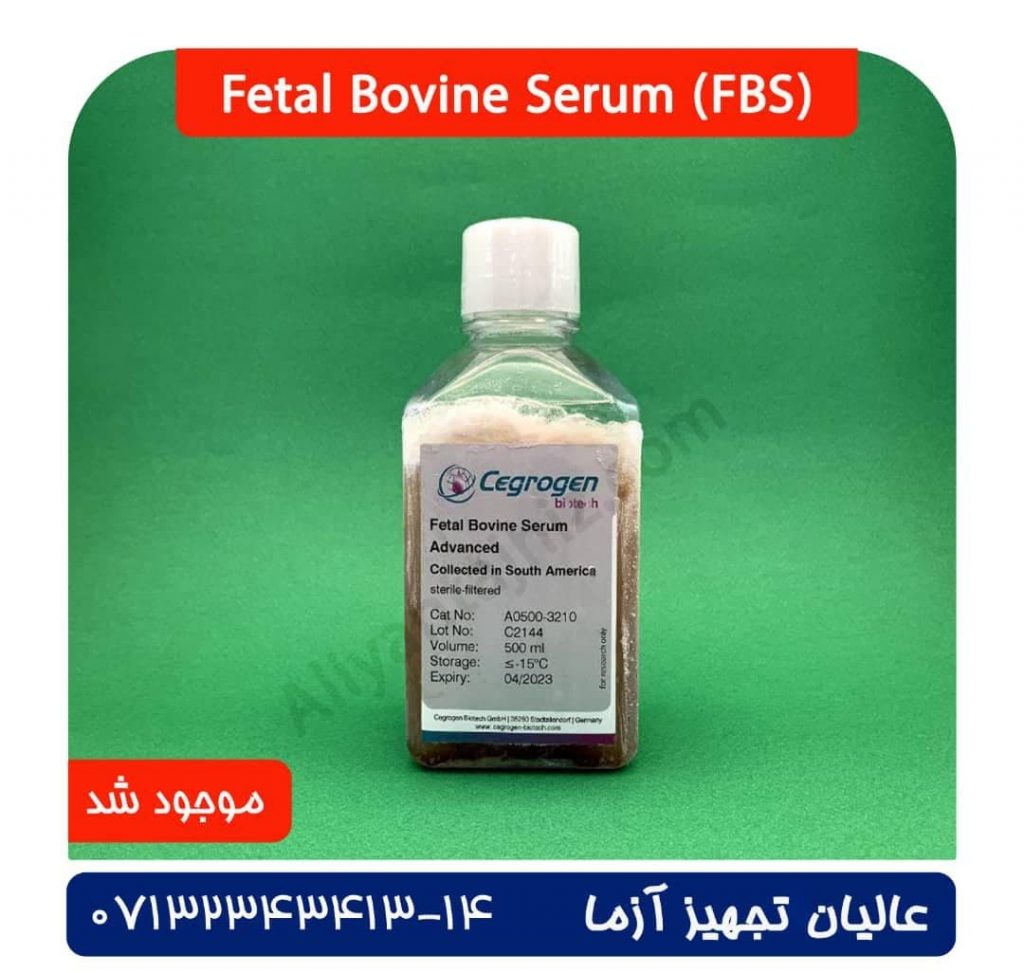 Fetal Bovin Serum