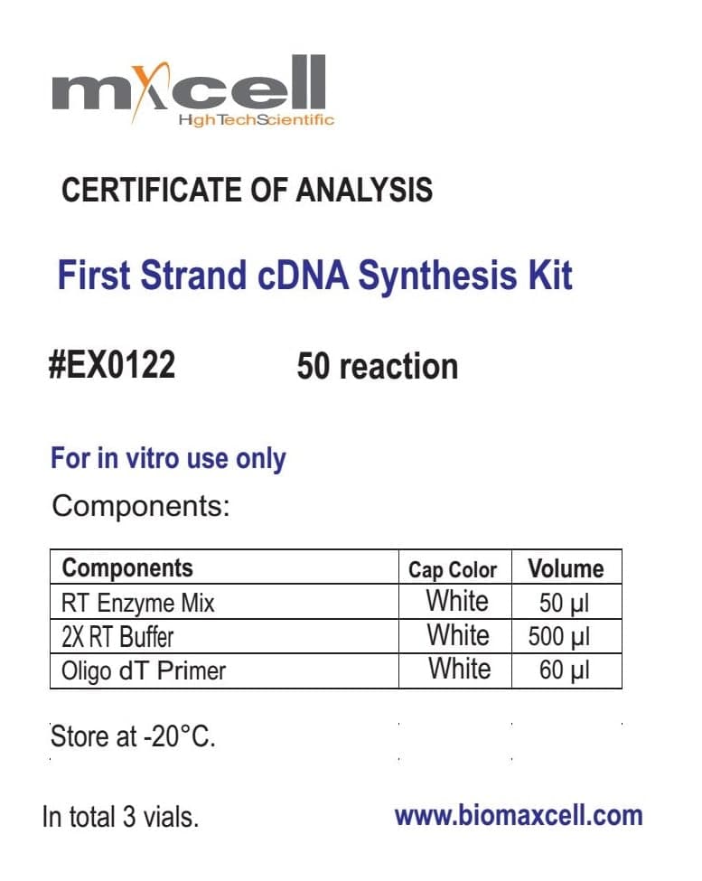 کیت سنتز cDNA
