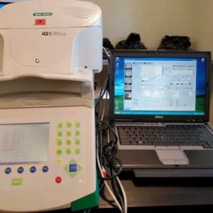 ریل تایم Bio Rad