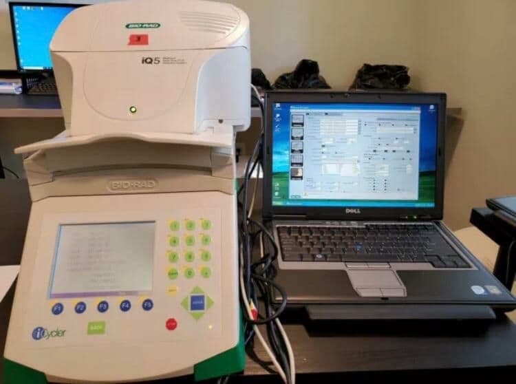 ریل تایم Bio Rad