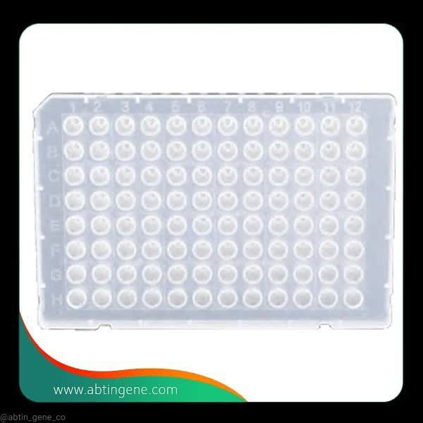 پلیت 96 خانه PCR سایز 0.1 Half skrit