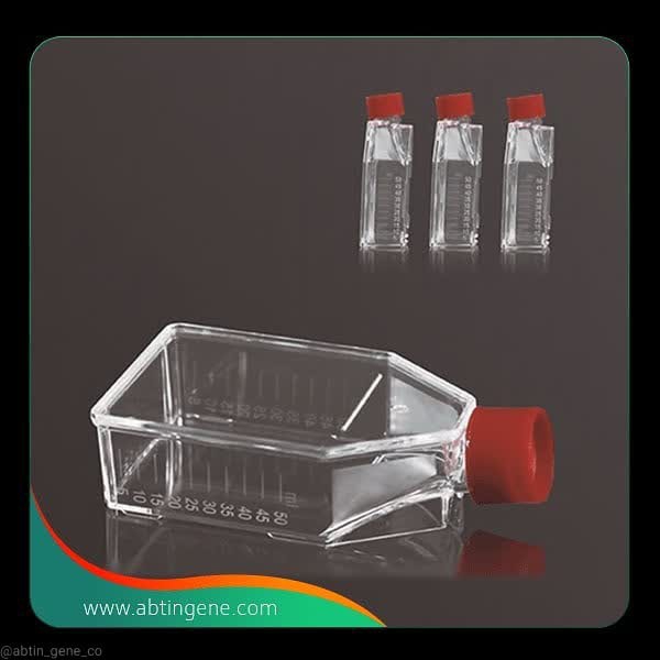 فلاسک کشت سلول فیلتردار T25