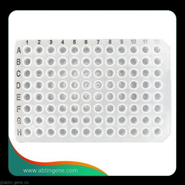 پلیت 96 خانه PCR سایز 0.1 No skrit