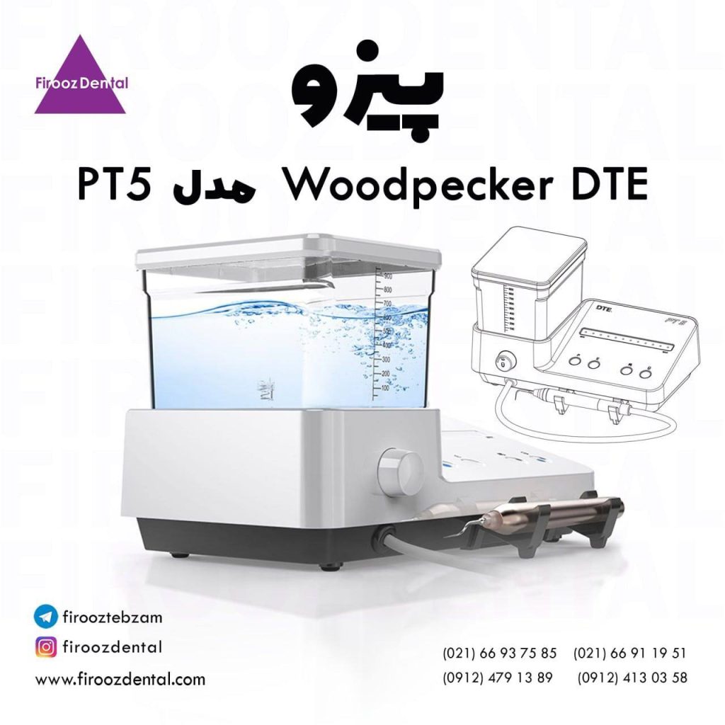 پیزو Woodpecker DTE