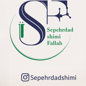 مرکوری آمیدوکلراید سیگما کد 10005 | 500g موجود