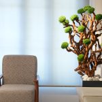 اجاره اتاق در مطب زیبایی و لاغری