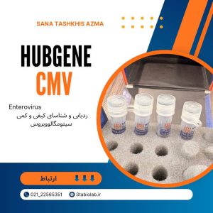 سیتومگالوویروس (CMV)